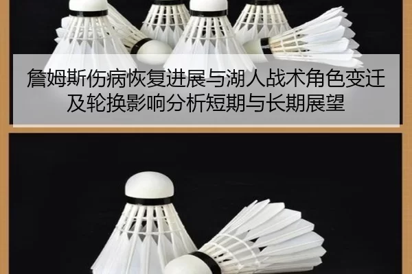 zhan-mu-si-shang-bing-hui-fu-jin-zhan-yu-hu-ren-zhan-shu-jue-se-bian-qian-ji-lun-huan-ying-xiang-fen-xi-duan-qi-yu-2-280.jpg