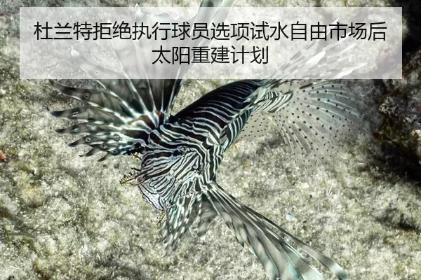 du-lan-te-ju-jue-zhi-xing-qiu-yuan-xuan-xiang-shi-shui-zi-you-shi-chang-hou-tai-yang-chong-jian-ji-hua-2-312.jpg